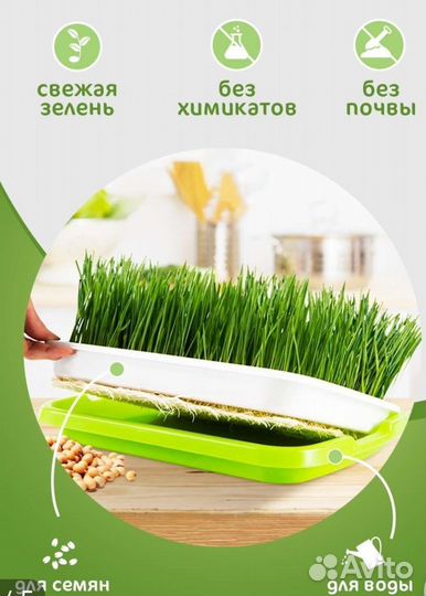 Проращиватель микрозелени