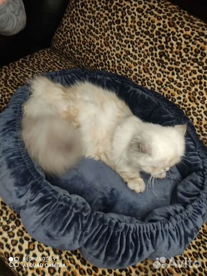 Лежанка для животных, кошек, собак