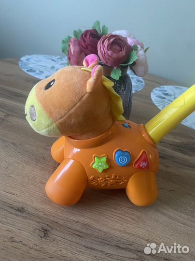 Игрушка каталка с ручкой baby go