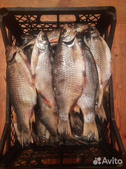 Рыба Вяленая Сушенная