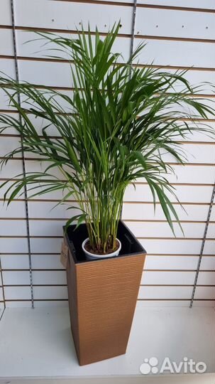 Кашпо Финезия джутто эко 25/47 цвет натур. дерево