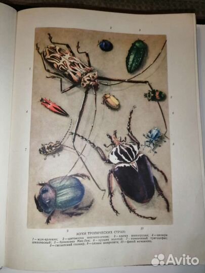 Советская Книга 