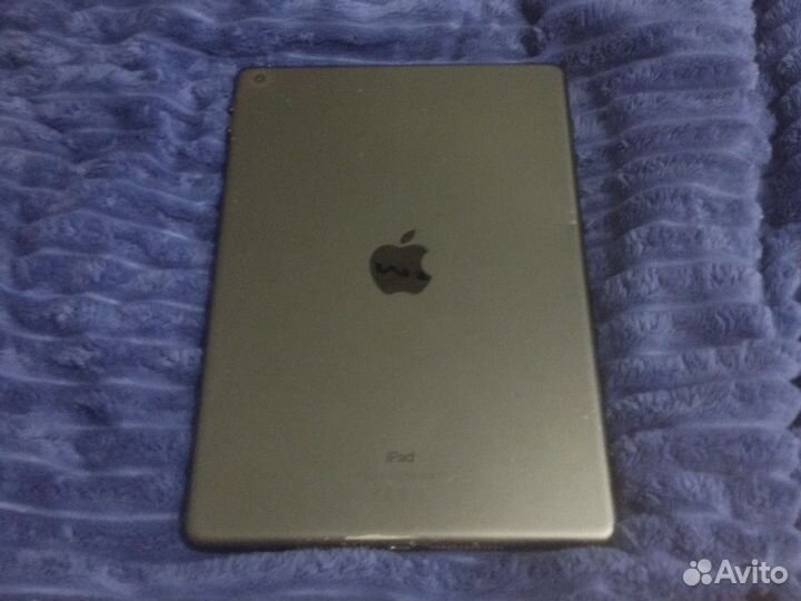 iPad