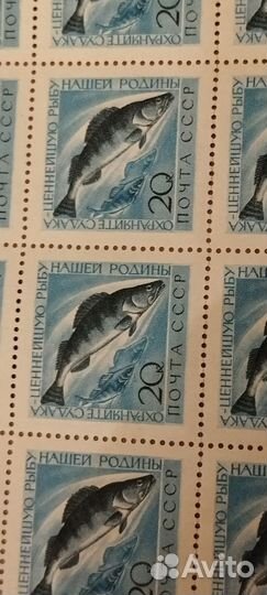 Лист марок 8х10 Охрана ценных Рыб СССР чист/клей
