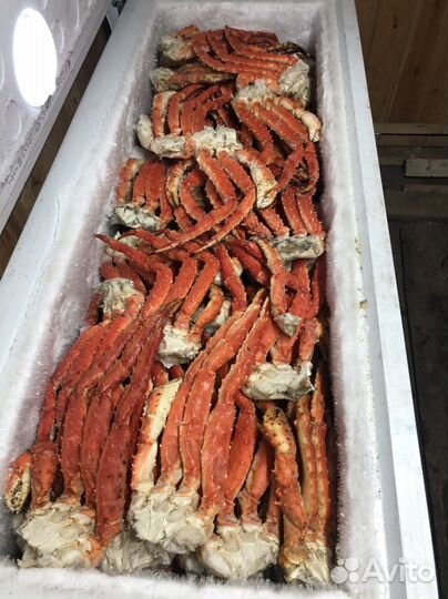 Камчатский краб в/м