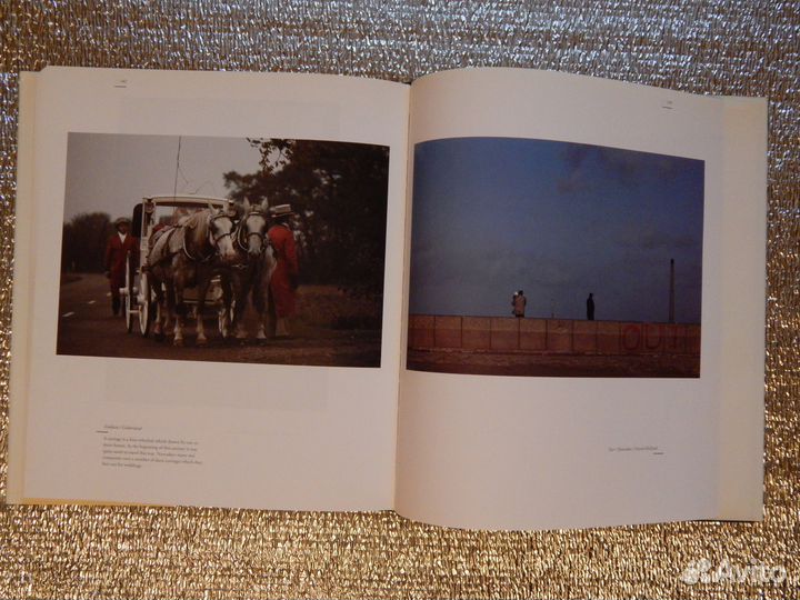 Голландия в движении (фото)