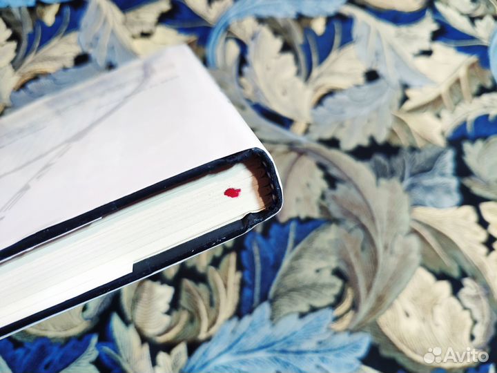 Serve to Win - Djokovic Novak