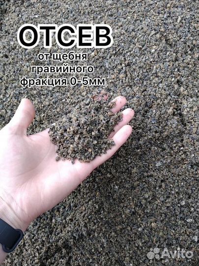 Отсев
