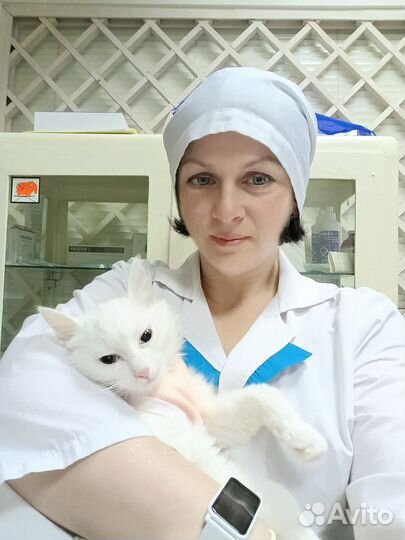 Ветеринарный врач на дом