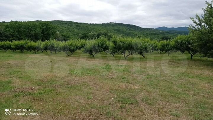 Участок 1,5 га (СНТ, ДНП)