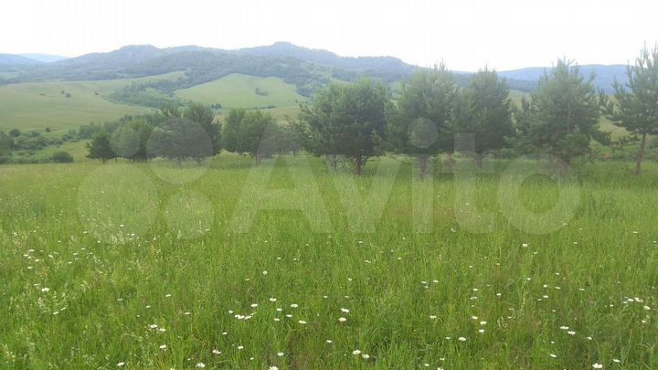 Участок 3,64 га (СНТ, ДНП)