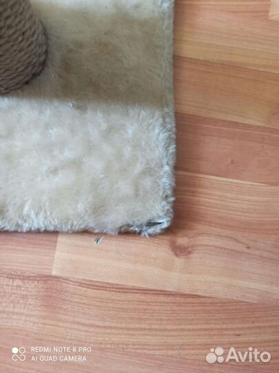 Когтеточка для кошек