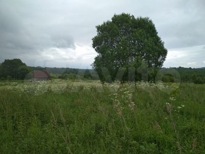 Участок 24 сот. (СНТ, ДНП)