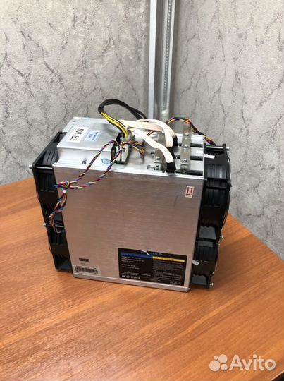 Asic innosilicon T3 50th