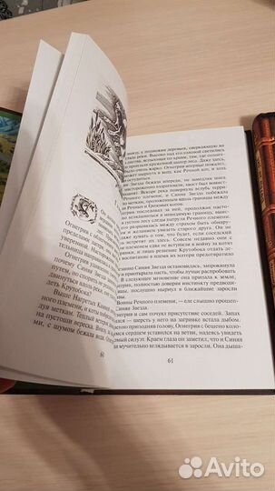 Коты-Воители