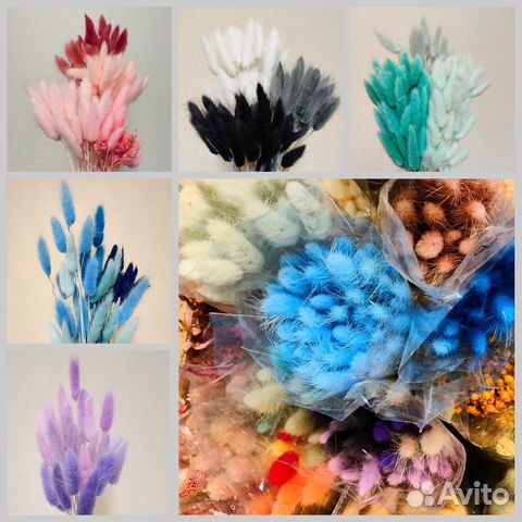 Сухоцветы и стабилизированные цветы