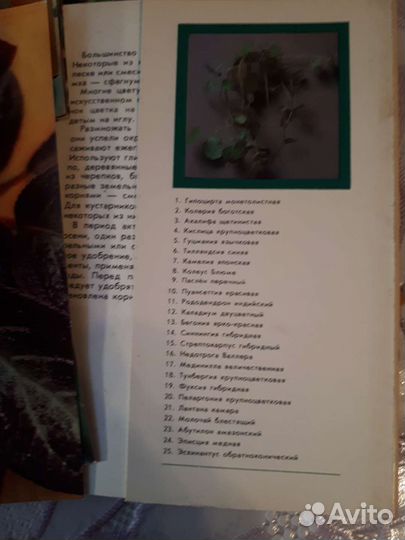 Набор открыток СССР Комнатные растения