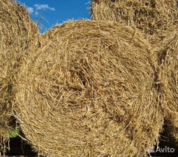 Солома в тюках