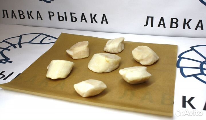 Сахалинский морской гребешок