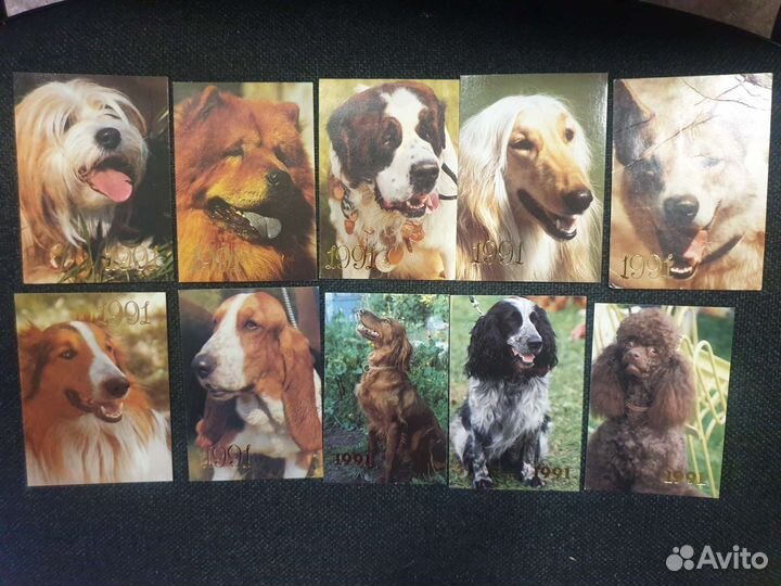 Коллекция календариков Собаки