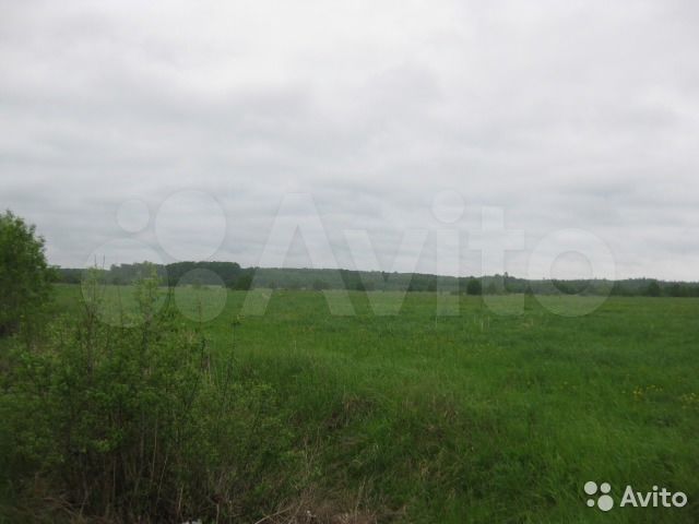 Участок 1,6 га (СНТ, ДНП)