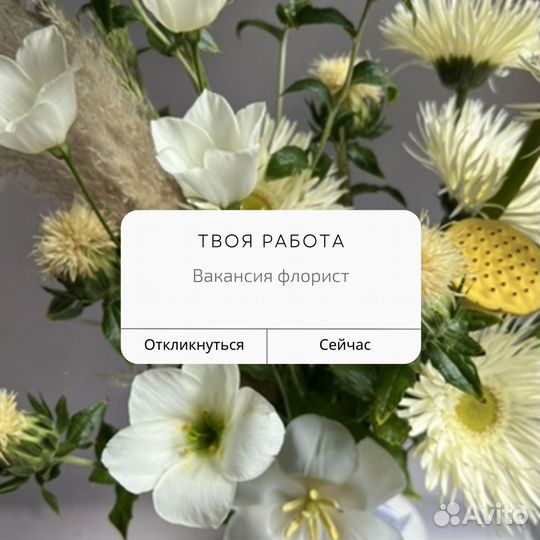 Флорист