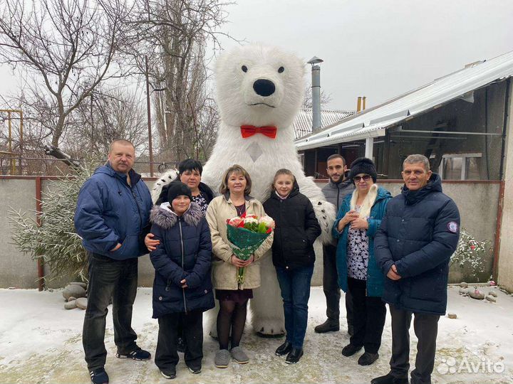 Чебурашка-Белый мишка 2,6 Поздравление