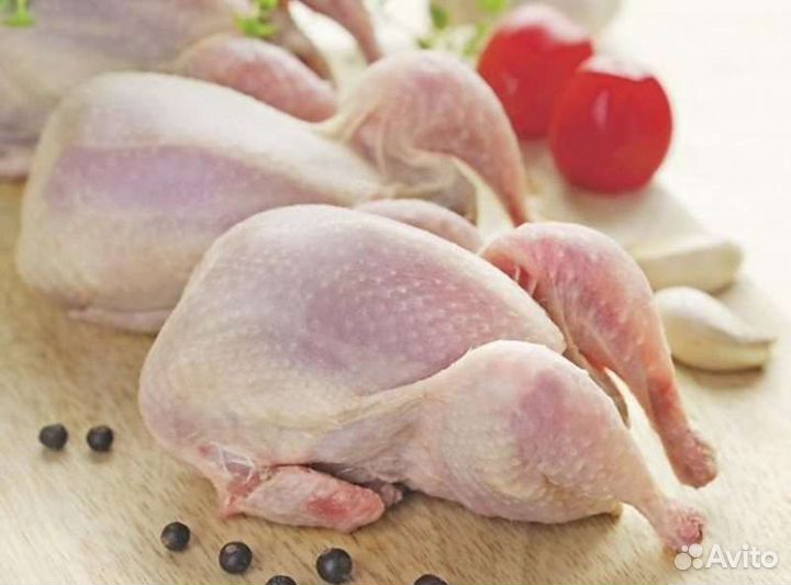 Перепелиное мясо