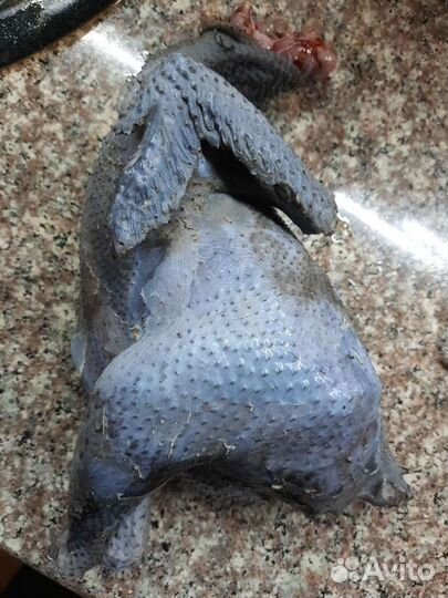 Мясо чёрных петушков