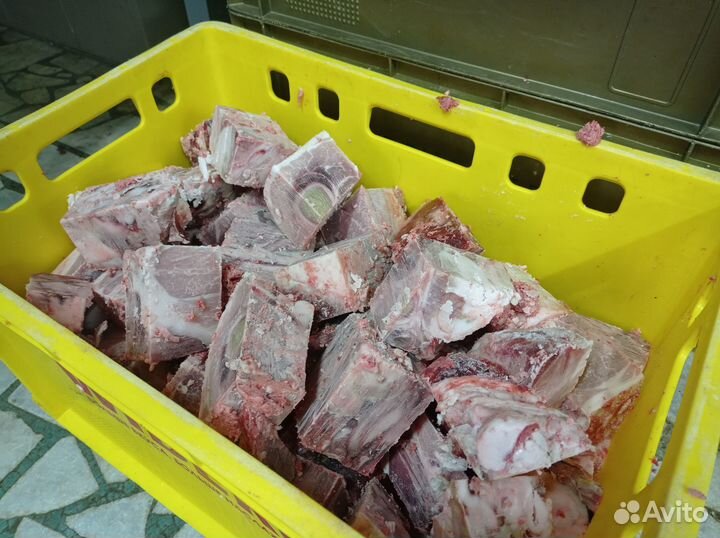 Корма для животных