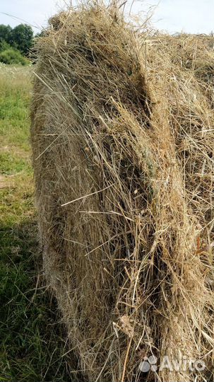 Сено в рулонах