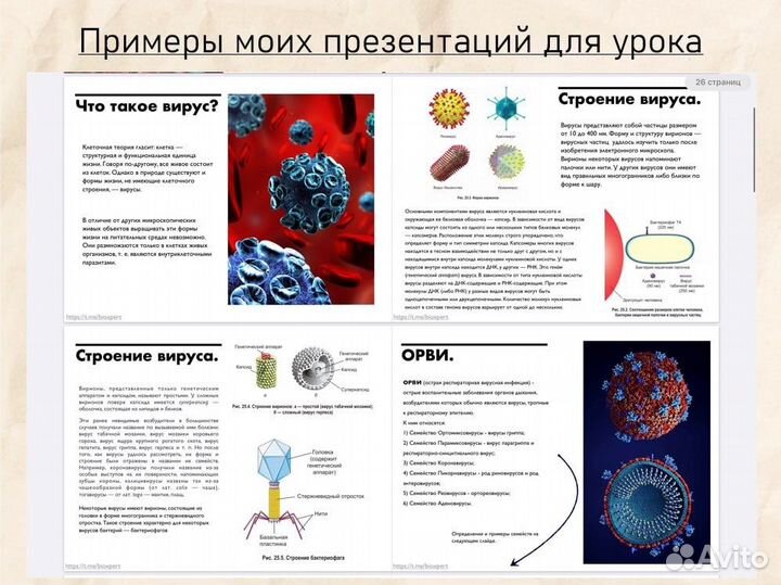 Репетитор по биологии школьная программа, ОГЭ, ЕГЭ