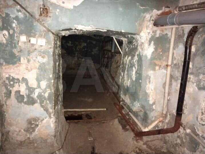 Помещение 113,5 кв.м