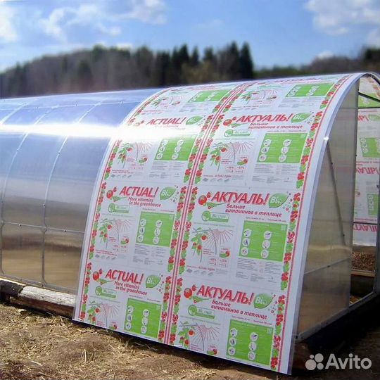 Теплицы