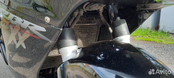 Honda cbr 1100xx Blackbird