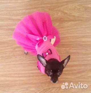 Платье на маленькую собачку