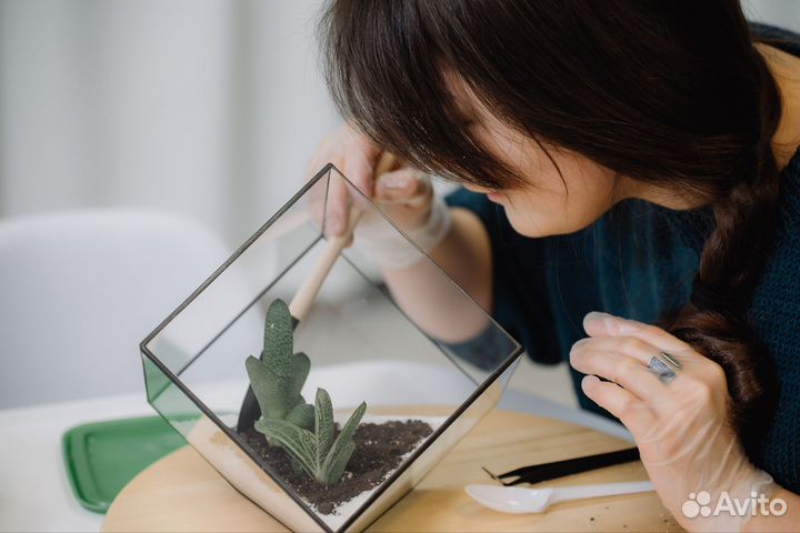 Флорариум. Мастер-классы