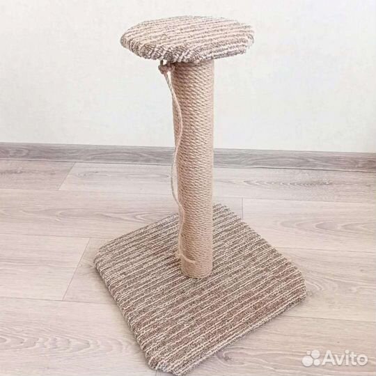 Когтеточка