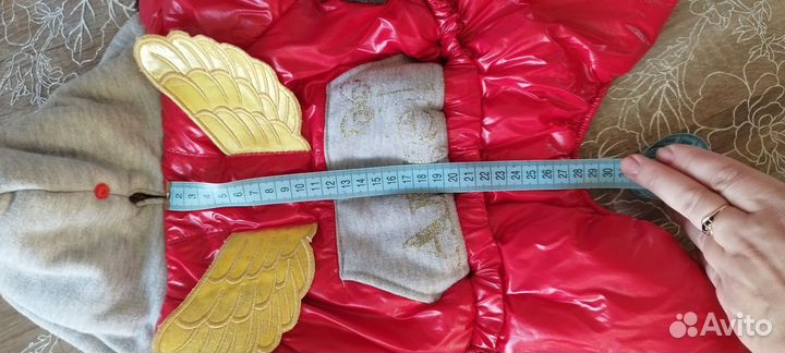 Одежда для собак мелких пород