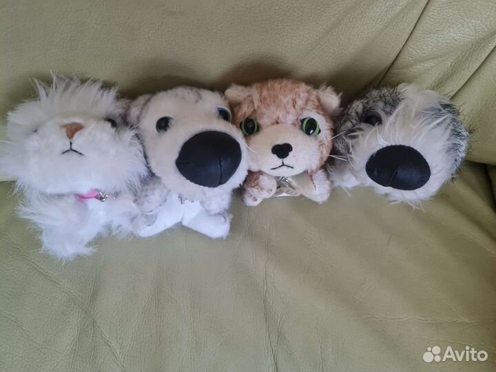 Собаки и the dog collection, the cat collection