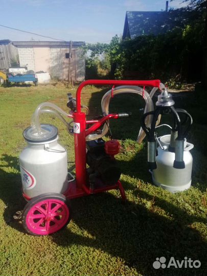 Доильный аппарат для коров турция