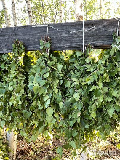 Веники для бани береза дуб пихта