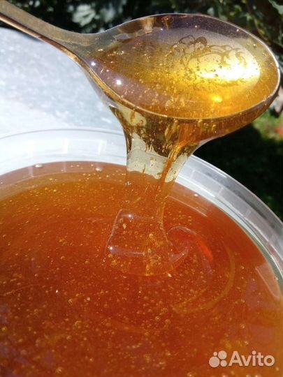 Мёд алтайский (разнотравье с примесью гречихи)