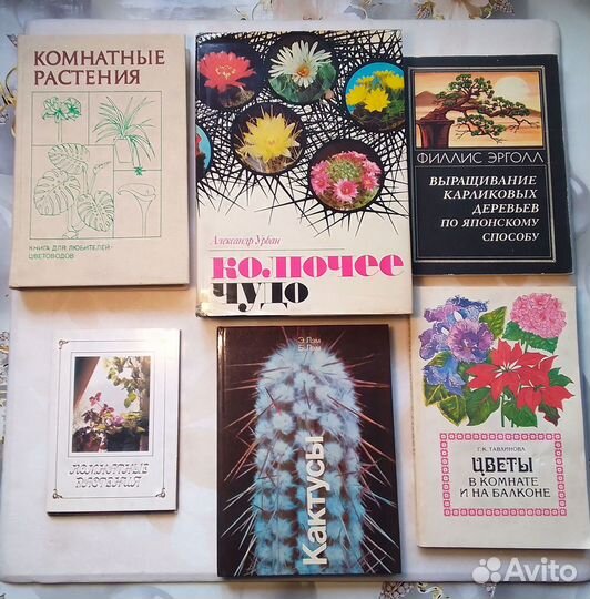 Книги Кактусы Комнатные растения комнатные цветы