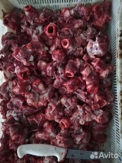 Корма для животных