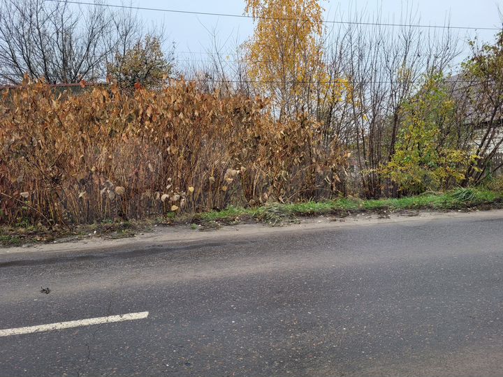 Участок 16,9 сот. (ИЖС)