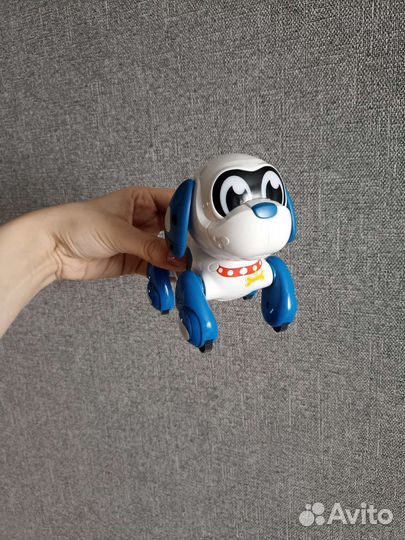 Робот собака руффи