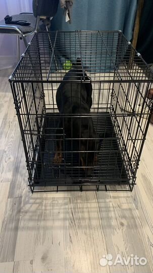 Клетка вольер для собак