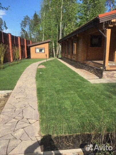 Продажа рулонного газона