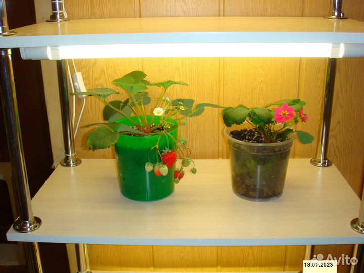 Стеллаж с подсветкой для рассады, цветов